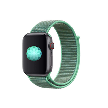 Load image into Gallery viewer, Woven Nylon Strap For Apple Watch-Seashell (42/44mm) - CellFAther